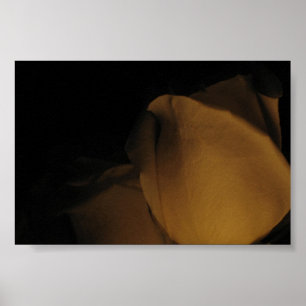 Affiche Pédales d'un rose