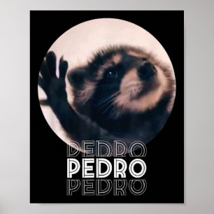 Affiche Pedro Racoon Danse Populaire Mème Internet Mapache