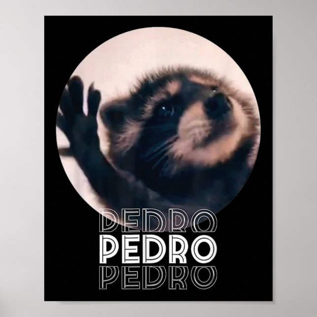 Affiche Pedro Racoon Danse Populaire Mème Internet Mapache (Devant)