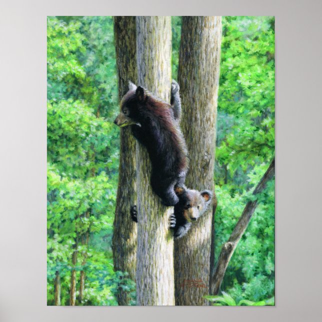 Affiche Peek-a-Bear (Devant)