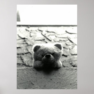 Affiche Peek-a-Boo Teddy