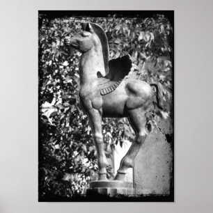 Affiche Pegasus in Black and White Grunge