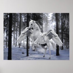 Affiche Pegasus s'est envolé l'affiche de neige de forêt