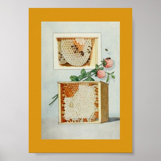 Affiche Peigne de miel vintage, abeilles, cire d'abeille e (Devant)
