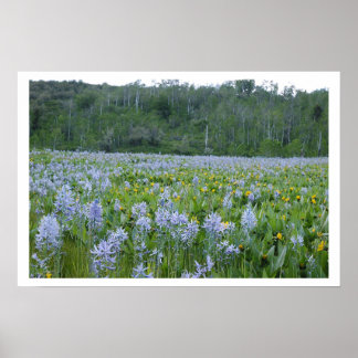 Affiche Peindre le champ