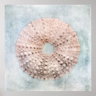 Affiche Peinture à la crème bleue du littoral en état de d