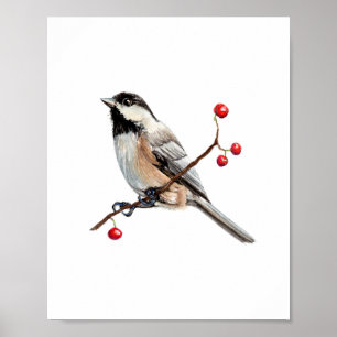 Affiche Peinture à l'aquarelle de mésange