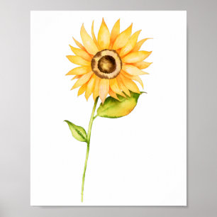 Affiche Peinture à l'aquarelle de tournesol
