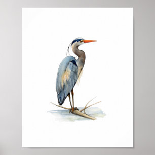 Affiche Peinture à l'aquarelle du Grand Héron