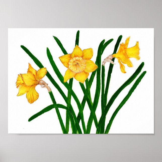 Affiche Peinture à l'aquarelle florale jaune (Devant)