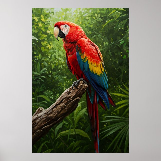 Affiche Peinture à l'huile de Macaw (Devant)