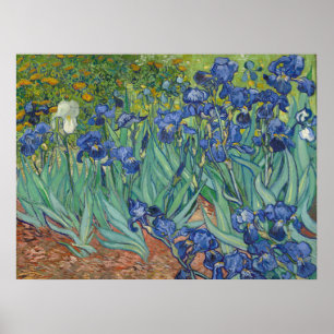 Affiche Peinture à l'huile florale Les Iris bleus célèbres