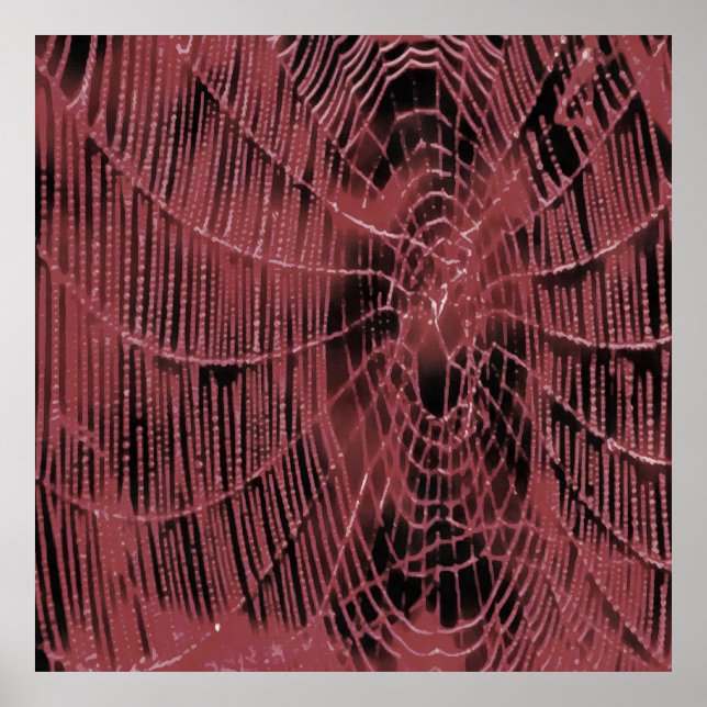 Affiche Peinture Abstraite D'Un Cobweb Magenta Rose (Devant)