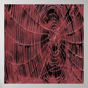 Affiche Peinture Abstraite D'Un Cobweb Magenta Rose