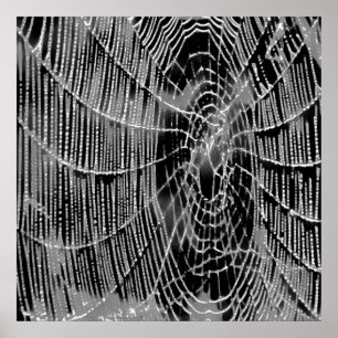 Affiche Peinture Abstraite D'Une Cobweb Blanc Gris Sur Noi