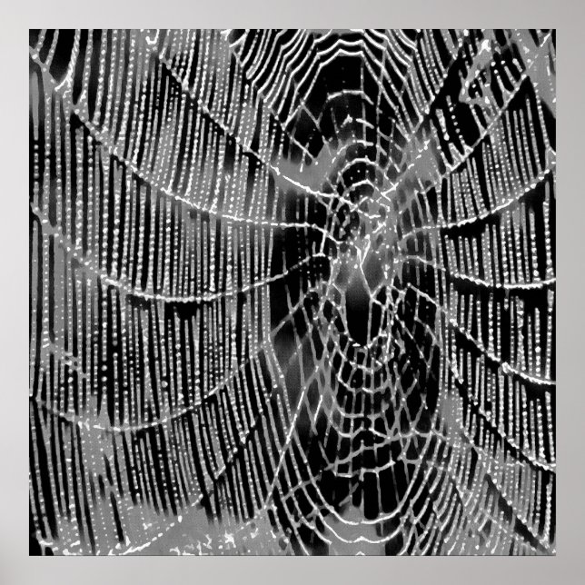 Affiche Peinture Abstraite D'Une Cobweb Blanc Gris Sur Noi (Devant)