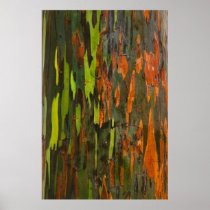 Affiche Peinture abstraite verte, orange et noire
