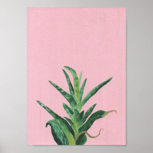 Affiche Peinture acrylique succulente de Haworthia