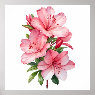 Affiche peinture aquarelle de fleur d'azalée