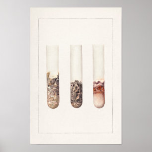 Affiche Peinture aquarelle Limes (Citrus Aurantiifolia)