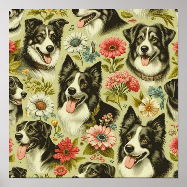 Affiche Peinture Collie vintage (Devant)