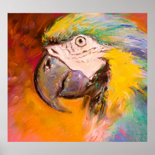 Affiche Peinture colorée de perroquet pastel