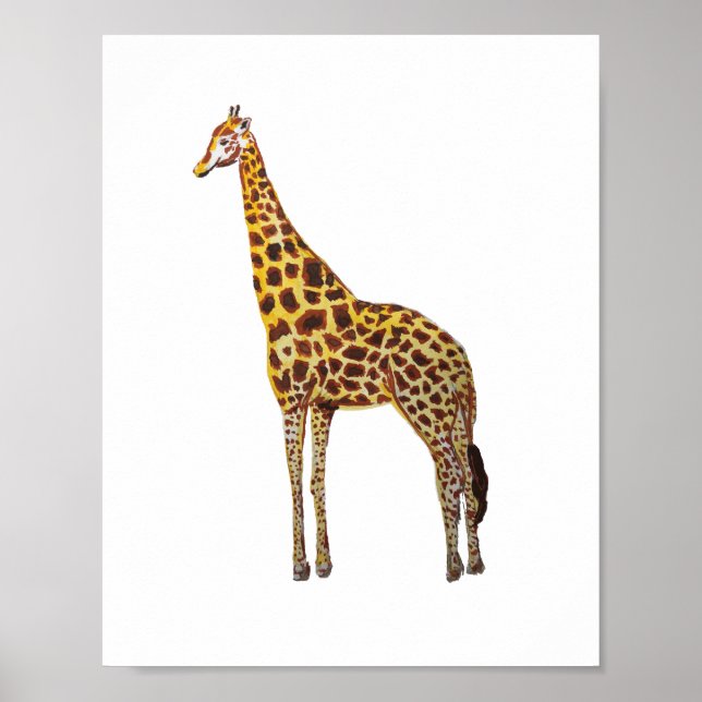 Affiche Peinture d'animaux de safari à girafe (Devant)