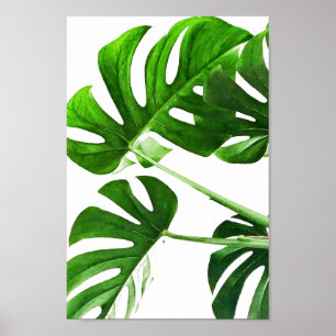 Affiche Peinture d'aquarelle de la feuille de Monstère #5