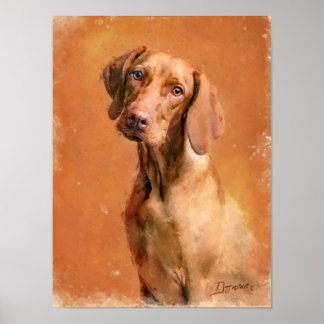 Affiche Peinture d'art de Chien Vizsla en Hongrie