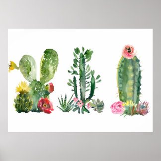 Affiche Peinture de cactus aquarelle