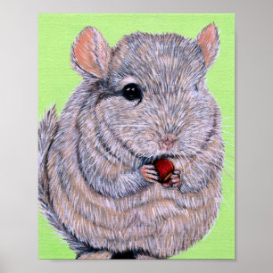 Affiche Peinture de chinchilla mignon qui mordille