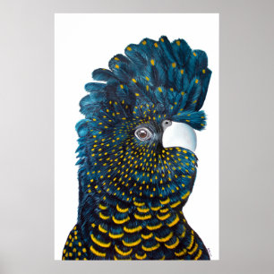 Affiche Peinture de Cockatoo Noir