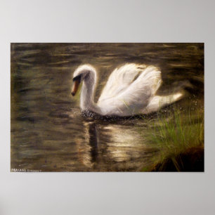 Affiche Peinture de cygne blanc