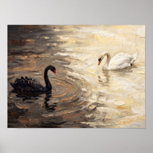 Affiche Peinture de cygnes noirs et blancs