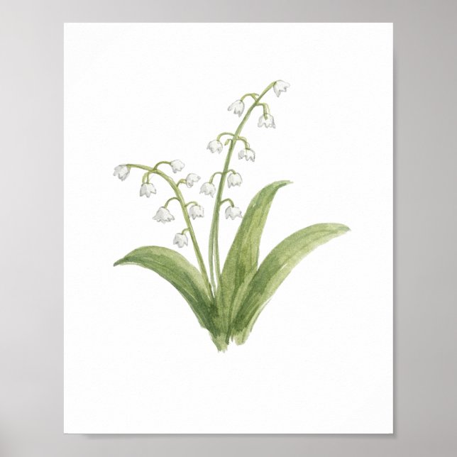 Affiche Peinture de Fleur de Muguet (Devant)