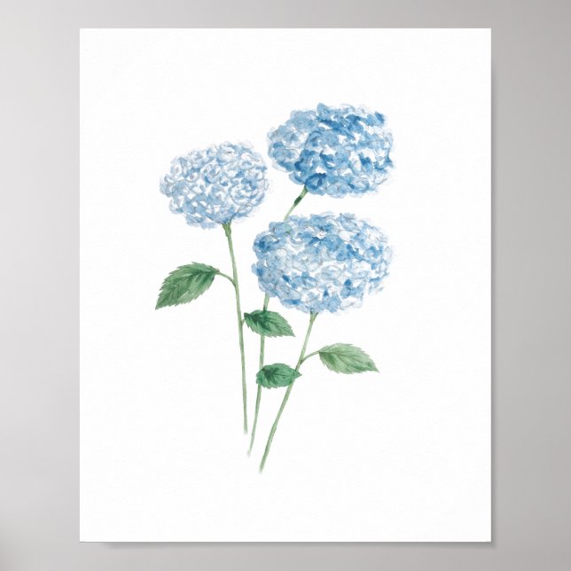 Affiche Peinture de Fleur d'Hortensia Bleu Plage (Devant)