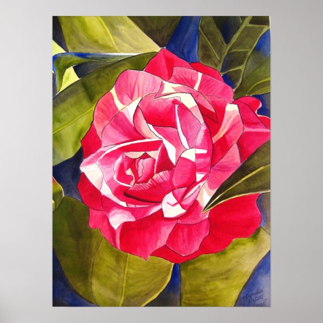 Affiche Peinture de fleurs rose Camellia (Devant)