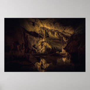 AFFICHE PEINTURE DE GROTTE BROWN ET NOIRE