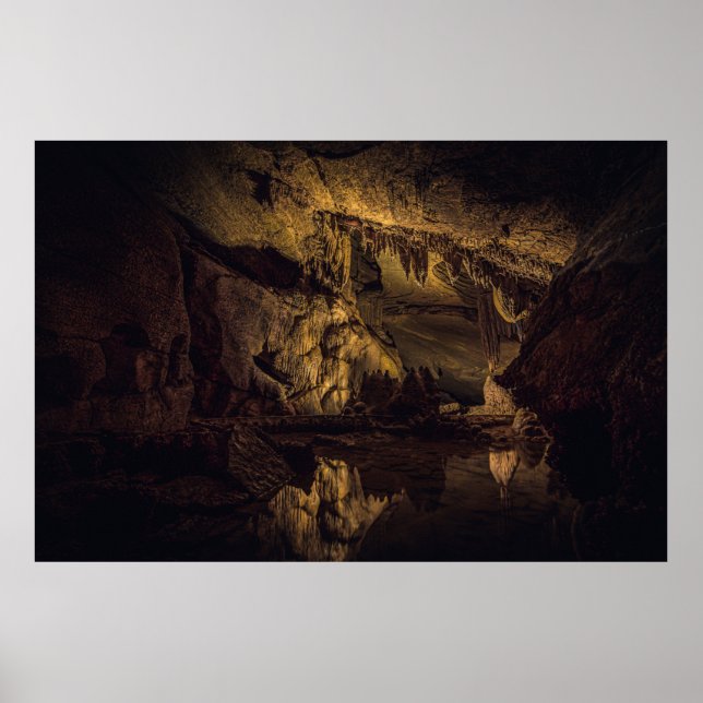 AFFICHE PEINTURE DE GROTTE BROWN ET NOIRE (Devant)