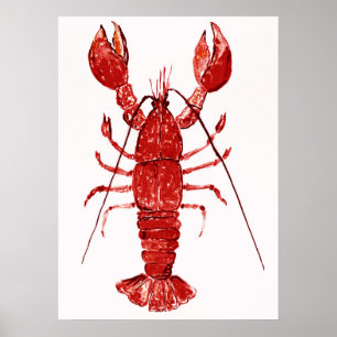 Affiche Peinture de homard rouge