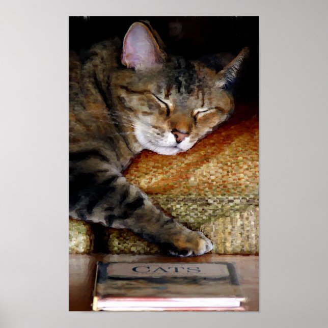 Affiche Peinture de livre de chats endormis (Devant)