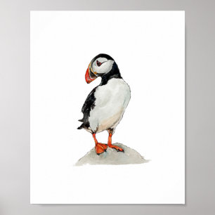 Affiche Peinture de macareux au aquarelle
