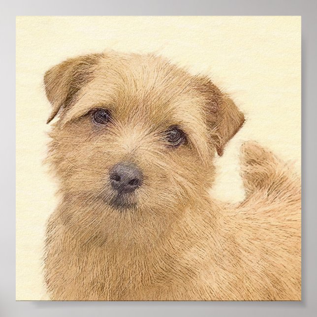 Affiche Peinture de Norfolk Terrier - Art original de chie (Devant)