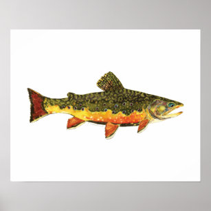 Affiche Peinture de poissons de truite broyée