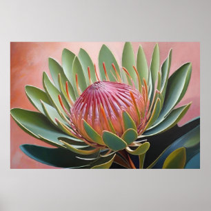 Affiche Peinture de Protea étonnante Vibrant Floral