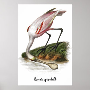 Affiche Peinture de spatule