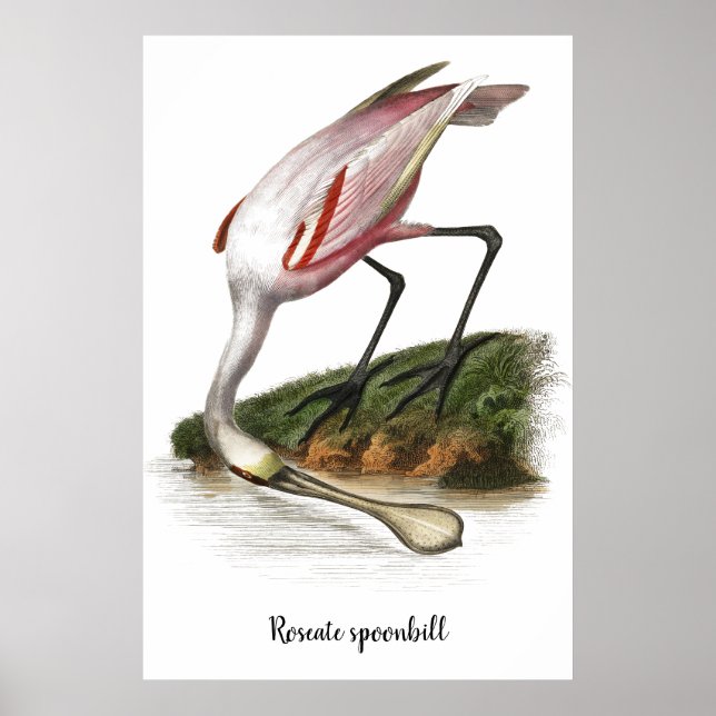Affiche Peinture de spatule (Devant)