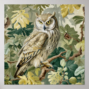 Affiche Peinture décorative de hibou