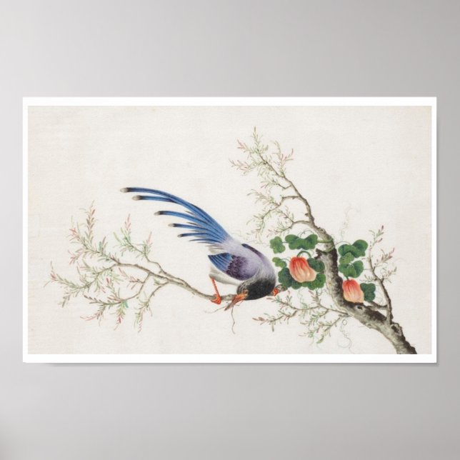 Affiche Peinture d'oiseaux chinois (Devant)