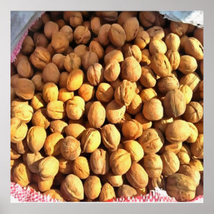 Affiche Peinture hyper-réaliste des noix fraîches